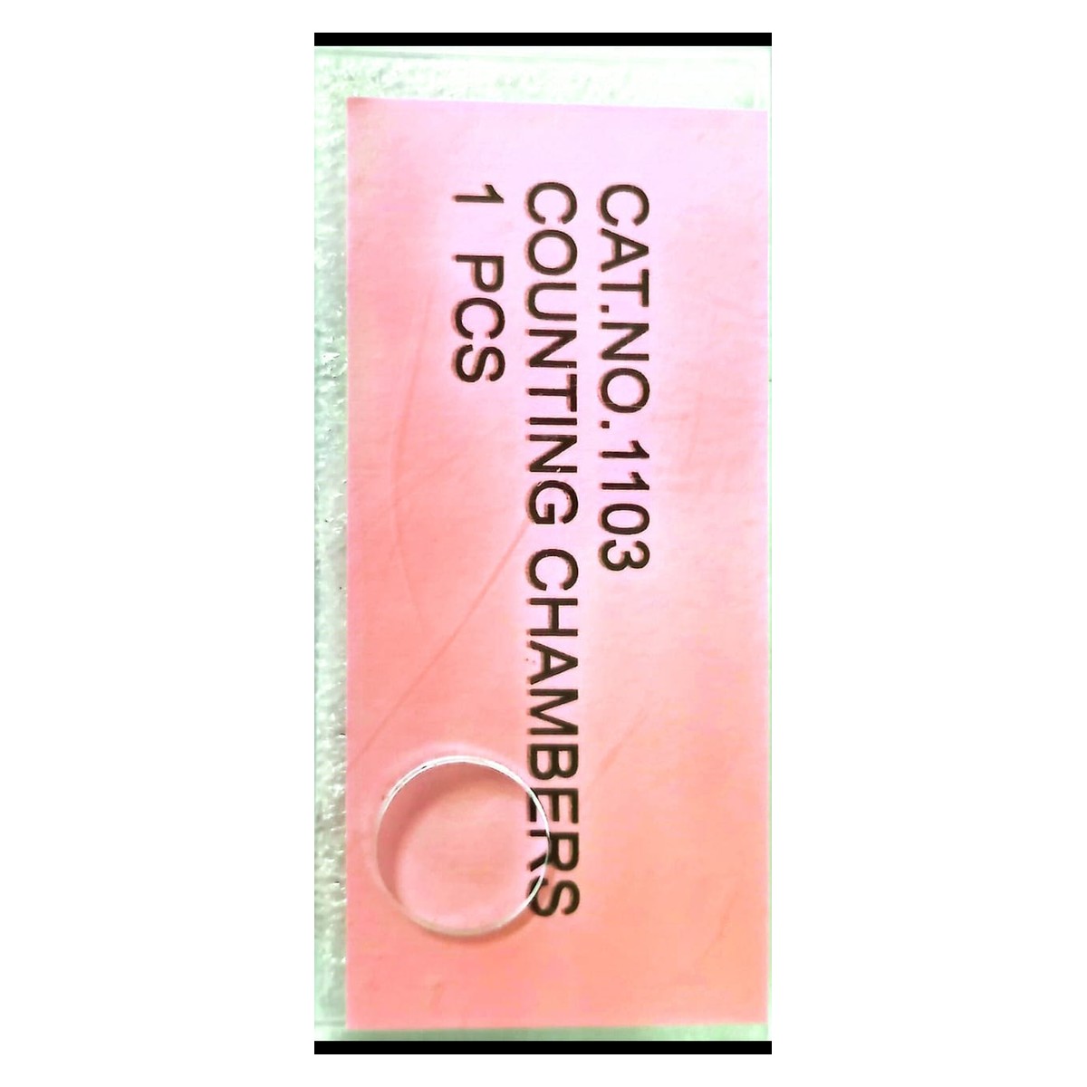 Counting Chamber